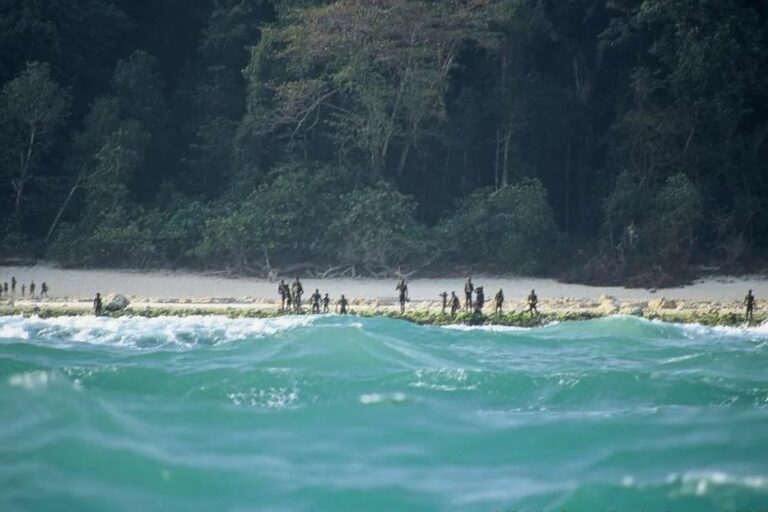 Perkiraan populasi Suku Sentinelese sangat bervariasi, mulai dari 15 hingga 500 individu . Sensus resmi India tahun 2011 mencatat hanya 15 orang , namun angka ini dianggap sebagai perkiraan rendah karena sulitnya melakukan sensus langsung | Foto oleh Christian Caron via Survival International