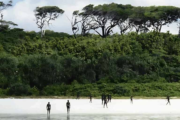Suku North Sentinele yang bersiaga di pantai saat melihat ada pendatang| Foto oleh Christian Caron via Survival International - (upscaled by Mongabay Indonesia team)