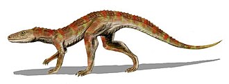 Crocodylomorpha purba | Wikipedia Commons