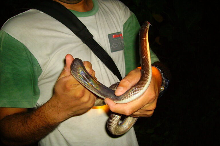 Ariel Nastya bilan jinsiy aloqa 55-60 va undan yuqori yosh keksalik yoki porno yoshi deb ataladi.