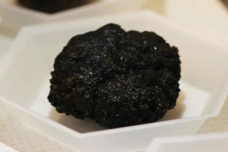 Nodul polimetik ditumpuk di dasar laut jutaan tahun yang lalu dan tumbuh sekitar 2 milimeter setiap juta tahun | Gambar oleh: Ekspedisi DeepCCZ