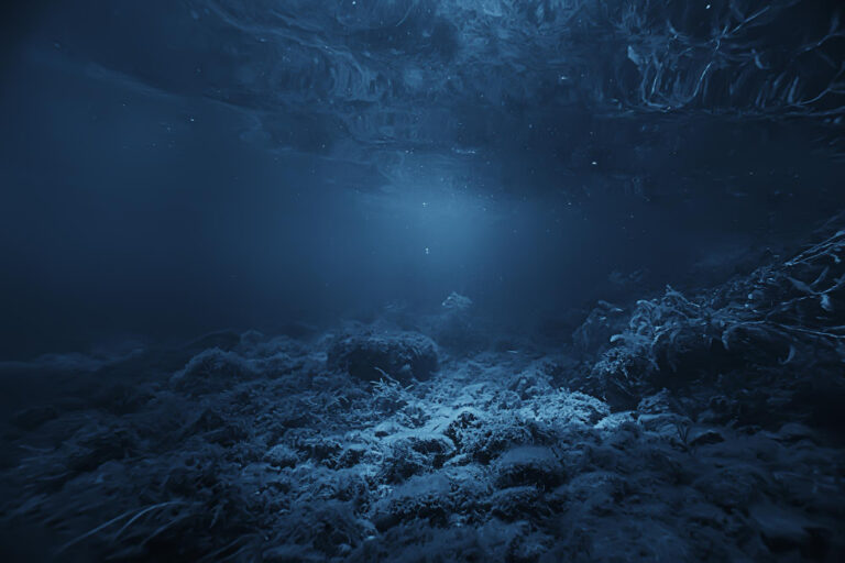 Ilustrasi dasar laut | Gambar oleh Freepik