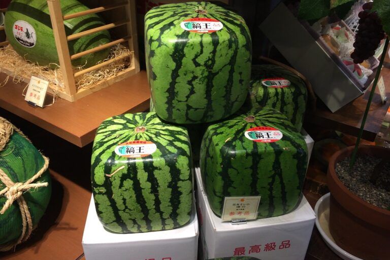 Semangka kotak, ternyata tidak untuk dikonsumsi | Flickr CC BY-NC 2.0