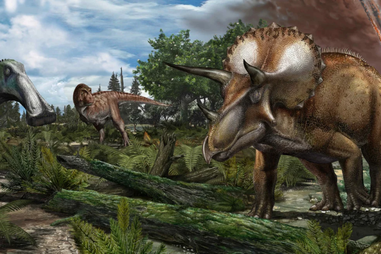 Ilustrasi dinosaurus — Edmontosaurus annectens (kiri), Tyrannosaurus rex, dan Triceratops prorsus — di sebuah dataran banjir pada akhir zaman Maastrichtian sekitar 66 juta tahun yang lalu. Studi terbaru menyarankan bahwa kondisi fosil yang buruk atau tidak terpapar menjelaskan rendahnya jumlah dan keanekaragaman fosil dinosaurus dari masa sebelum kepunahan | Kredit gambar: Davide Bonadonna