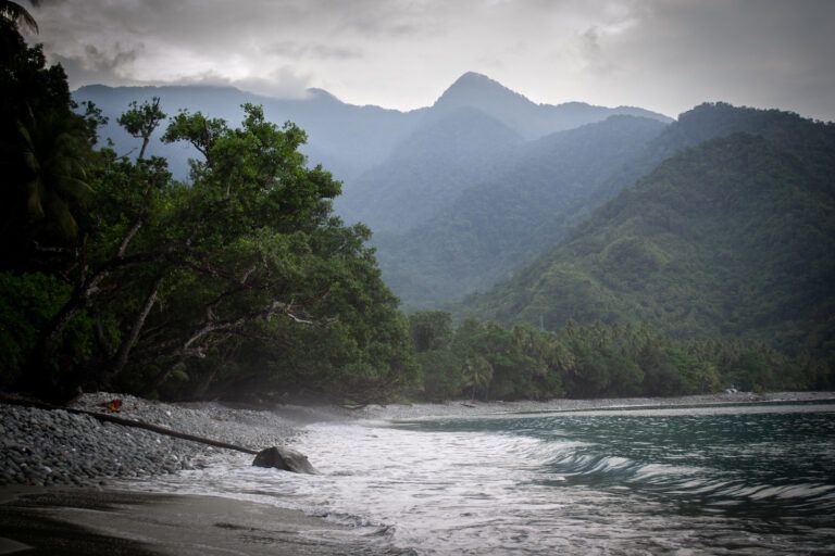 Pegunungan Cyclops di wilayah Papua, Indonesia, menjulang di atas pantai dekat Yongsu Sapari, diselimuti kabut pagi | Foto oleh Expedition Cyclops.