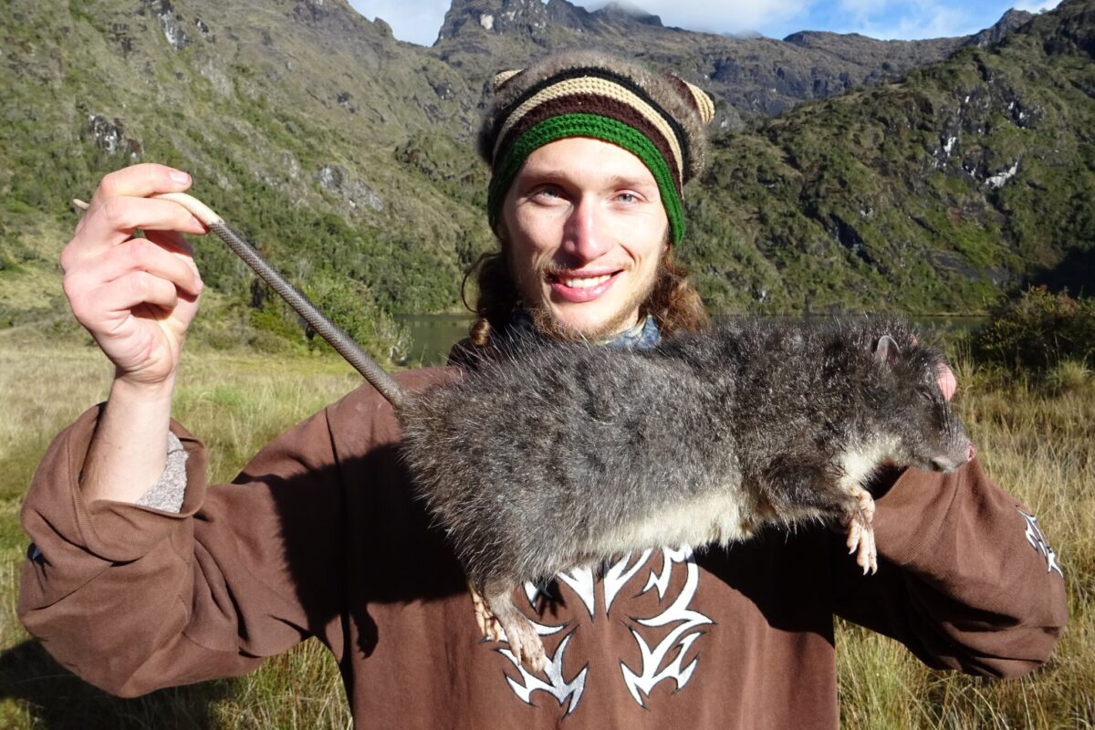 Peneliti František Vejmělka berpose bersama tikus raksasa di habitat alaminya pada ketinggian 3.700 meter di atas permukaan laut | foto oleh František Vejmělka.