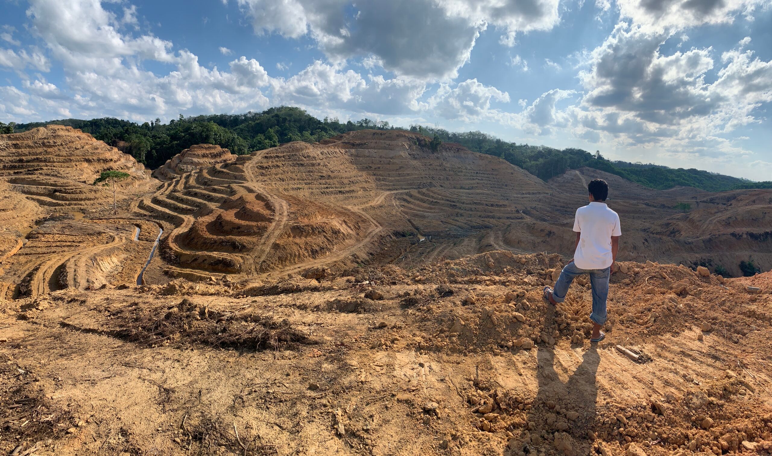 Seorang petani di Desa Muara Kilis memandangi kebunnya yang telah rata dengan tanah akibat digusur PT WKS. Foto: Teguh Suprayitno/Mongabay Indonesia