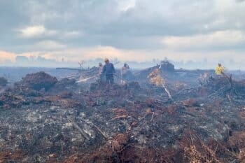 Warga bersama personel gabungan melakukan pemadaman di lahan gambut yang terbakar di Desa Gambut Jaya. Foto: teguh S/Mongabay Indonesia