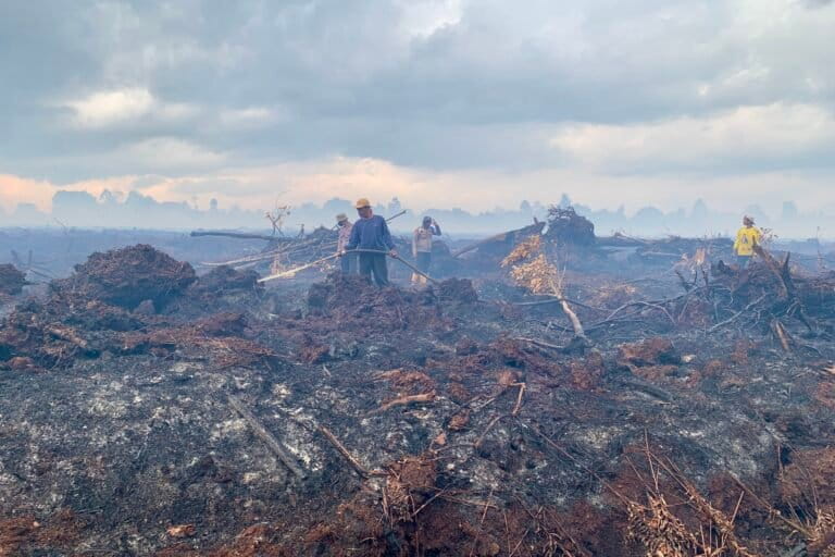 Warga bersama personel gabungan melakukan pemadaman di lahan gambut yang terbakar di Desa Gambut Jaya. Foto: teguh S/Mongabay Indonesia