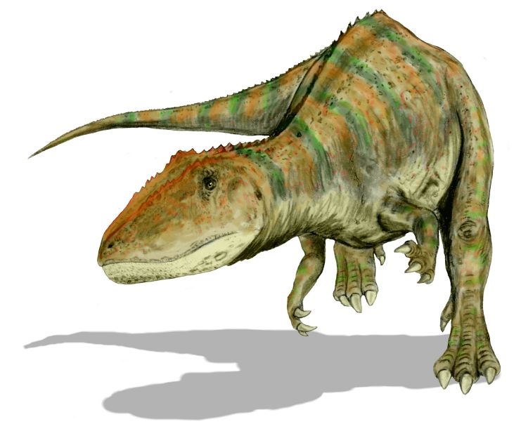 Rekonstruksi kehidupan Carcharodontosaurus saharicus, dinosaurus theropoda besar dari Kapur Awal di Afrika. Ilustrasi oleh Nobu Tamura (6 Maret 2007), dilisensikan di bawah CC BY-SA 4.0.Oleh © N. Tamura.