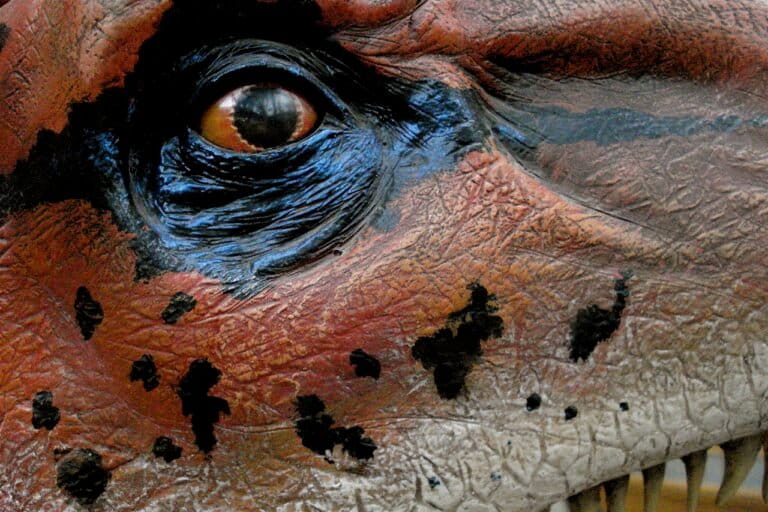 Tatapan tajam predator purba yang pernah menguasai Sahara jutaan tahun lalu—mata yang menyaksikan perburuan di darat, air, dan langit, di salah satu ekosistem paling berbahaya dalam sejarah Bumi. Sumber: Oxford University Museum of Natural History — Dinosaur eye closeup oleh allispossible.org.uk, 25 November 2007.