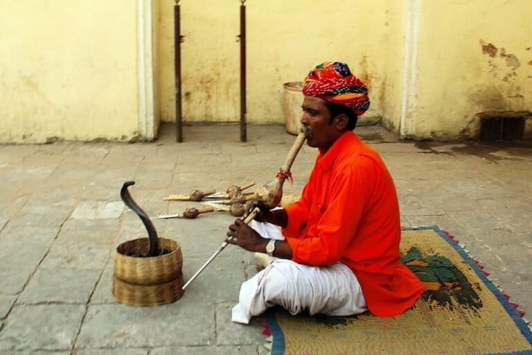 Seorang pawang ular di Jaipur, India, memainkan pungi di depan seekor kobra dalam pertunjukan jalanan. Meski terlihat “menari” mengikuti alunan musik, perilaku kobra sebenarnya adalah respons visual defensif terhadap gerakan pawang, bukan reaksi terhadap nada suling. Sumber foto: Pixabay