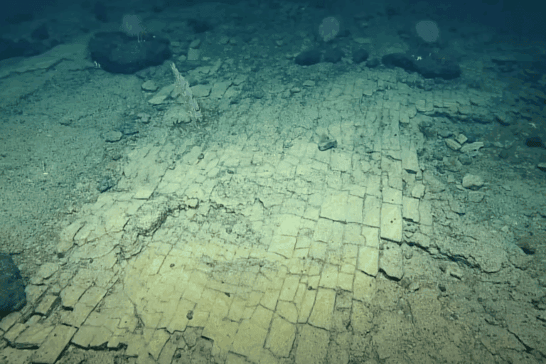 Formasi batuan di kedalaman lebih dari 3.000 meter yang menyerupai “jalan bata kuning” menuju kota mitos Atlantis, terekam oleh Exploration Vessel Nautilus saat meneliti Liliʻuokalani Ridge di kawasan Papahānaumokuākea Marine National Monument. (Video screenshot, Ocean Exploration Trust/E/V Nautilus)