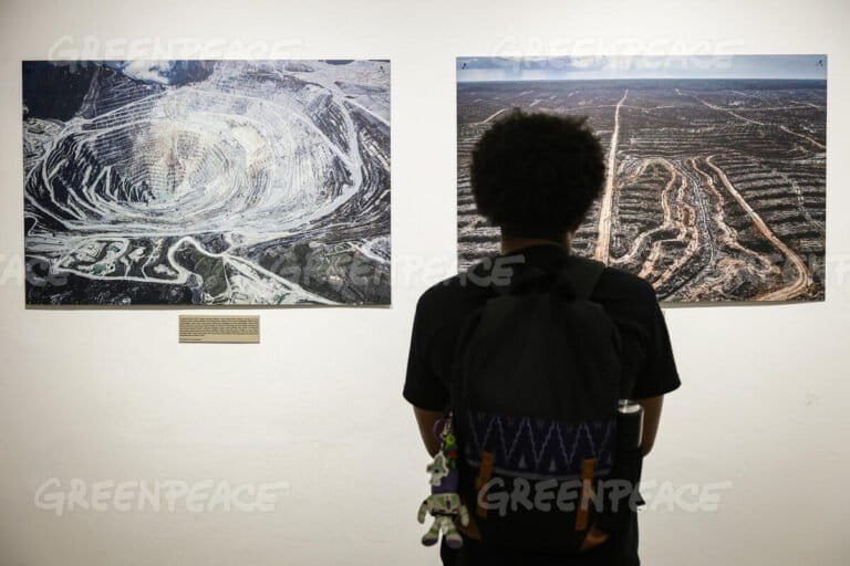 Riset Auriga Ungkap Lonjakan Deforestasi 2025