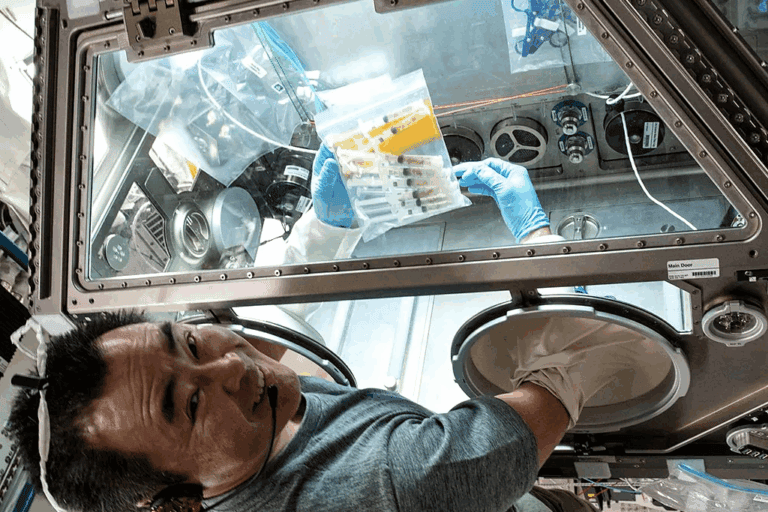 Seorang astronaut di Stasiun Luar Angkasa Internasional melakukan eksperimen dengan tardigrada untuk mempelajari bagaimana hewan mikroskopis ini menghadapi lingkungan mikrogravitasi yang keras. Foto: NASA (public domain)