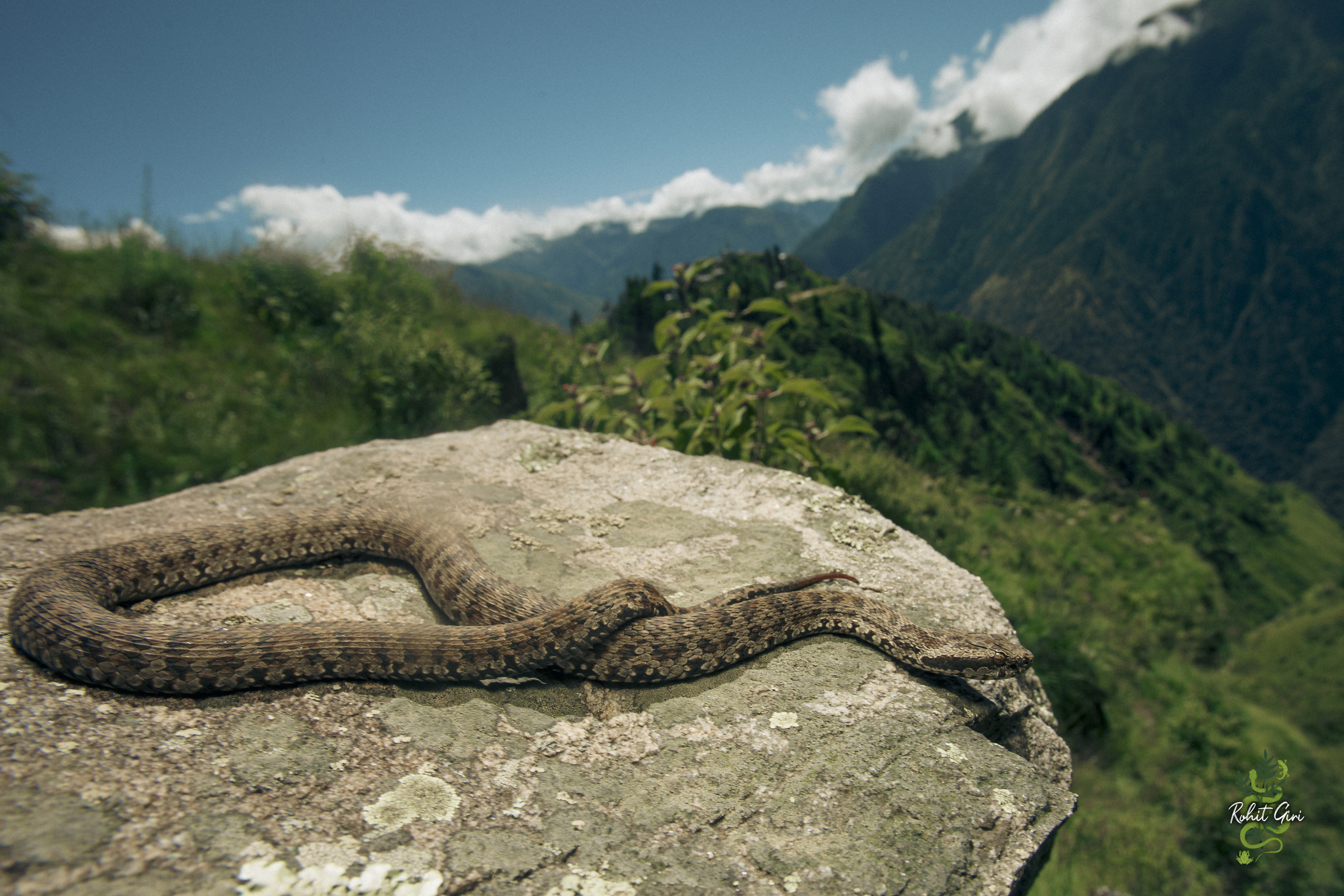 Uyda yalangoch qiz dostlarining fotosuratlari