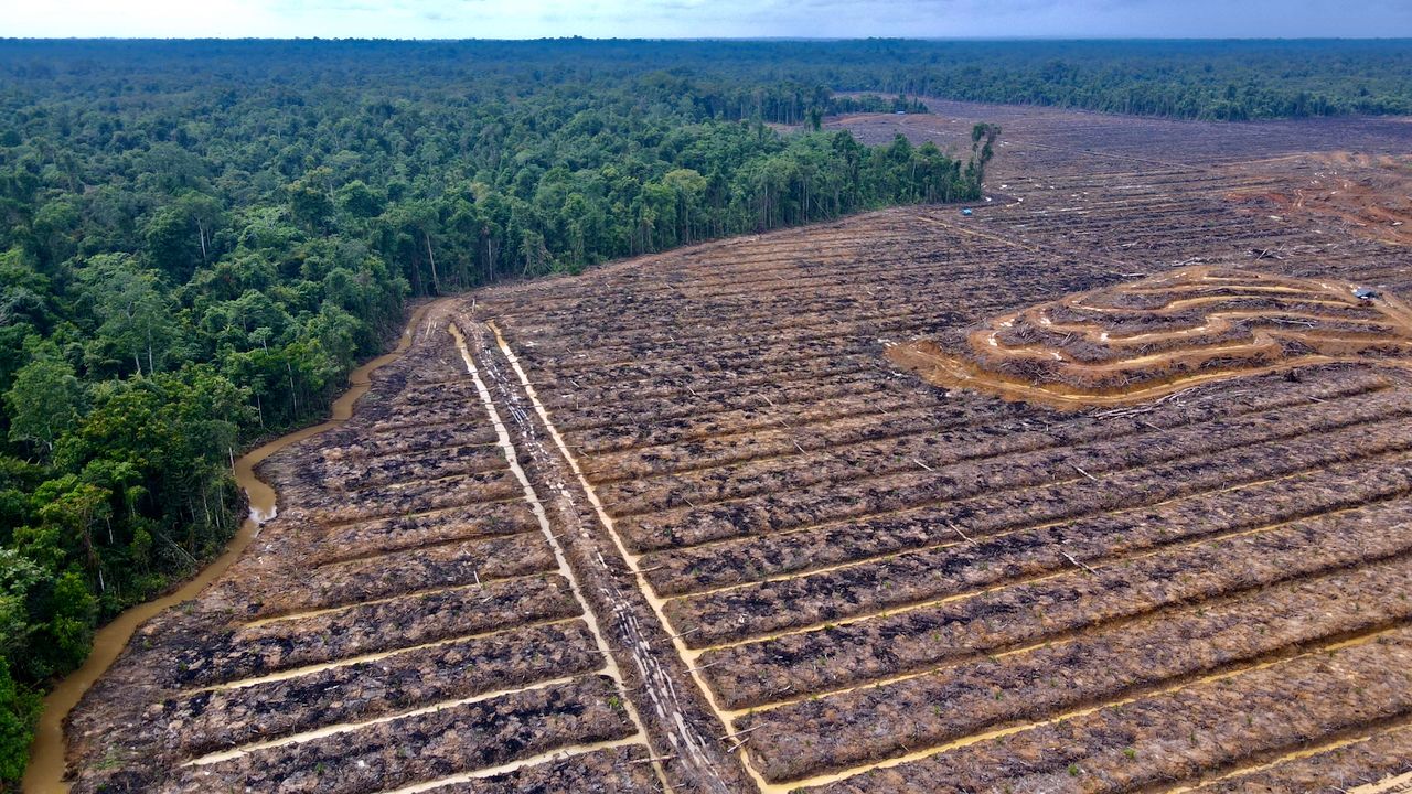 Papua Menuju Swasembada Energi melalui Optimalisasi Potensi Lokal