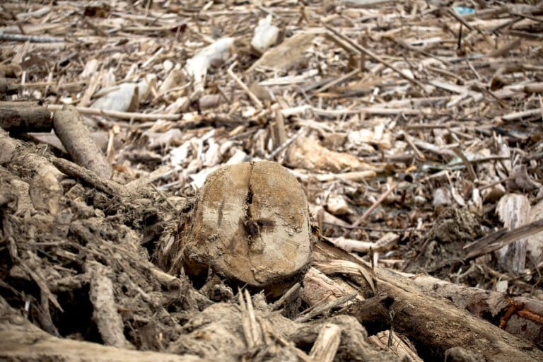 Ketika Puluhan Perusahaan Kena Sanksi Kasus Banjir Sumatera, Bagaimana Pemulihan?