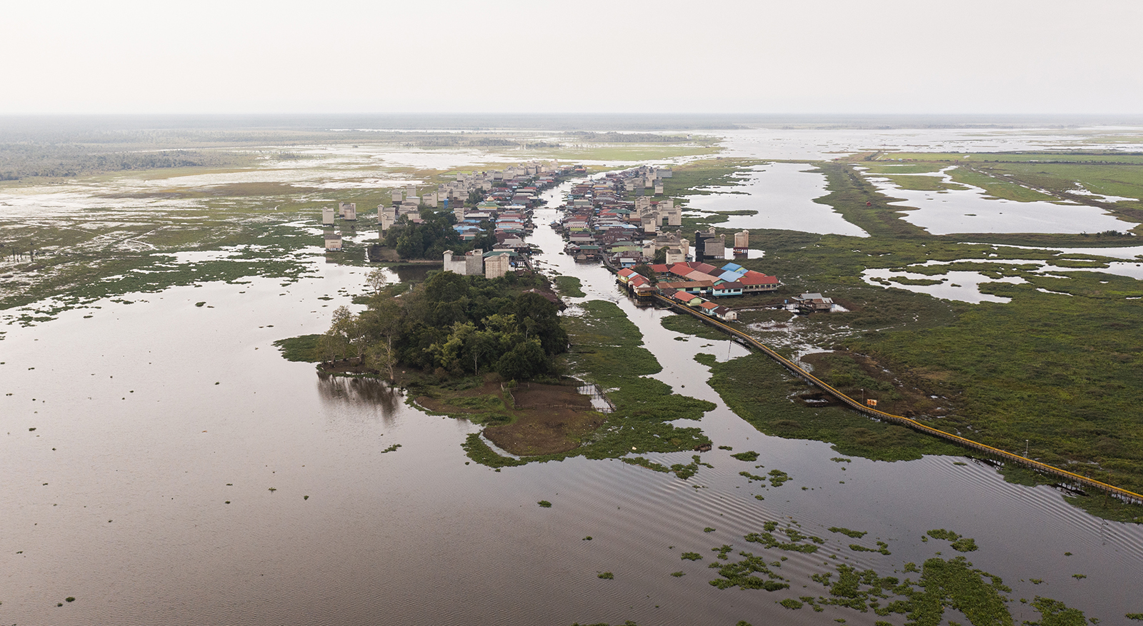 desa tampakang habitat kerbau rawa 4