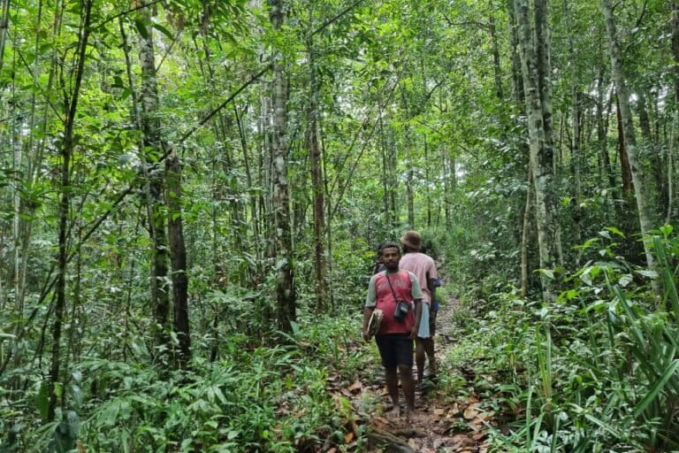 Mencari Jejak ‘Petani Hutan’ di Hutan Papua