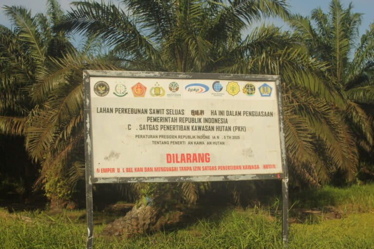 Kolonialisme dalam Tata Kelola Kehutanan Rentan Singkirkan Masyarakat Adat