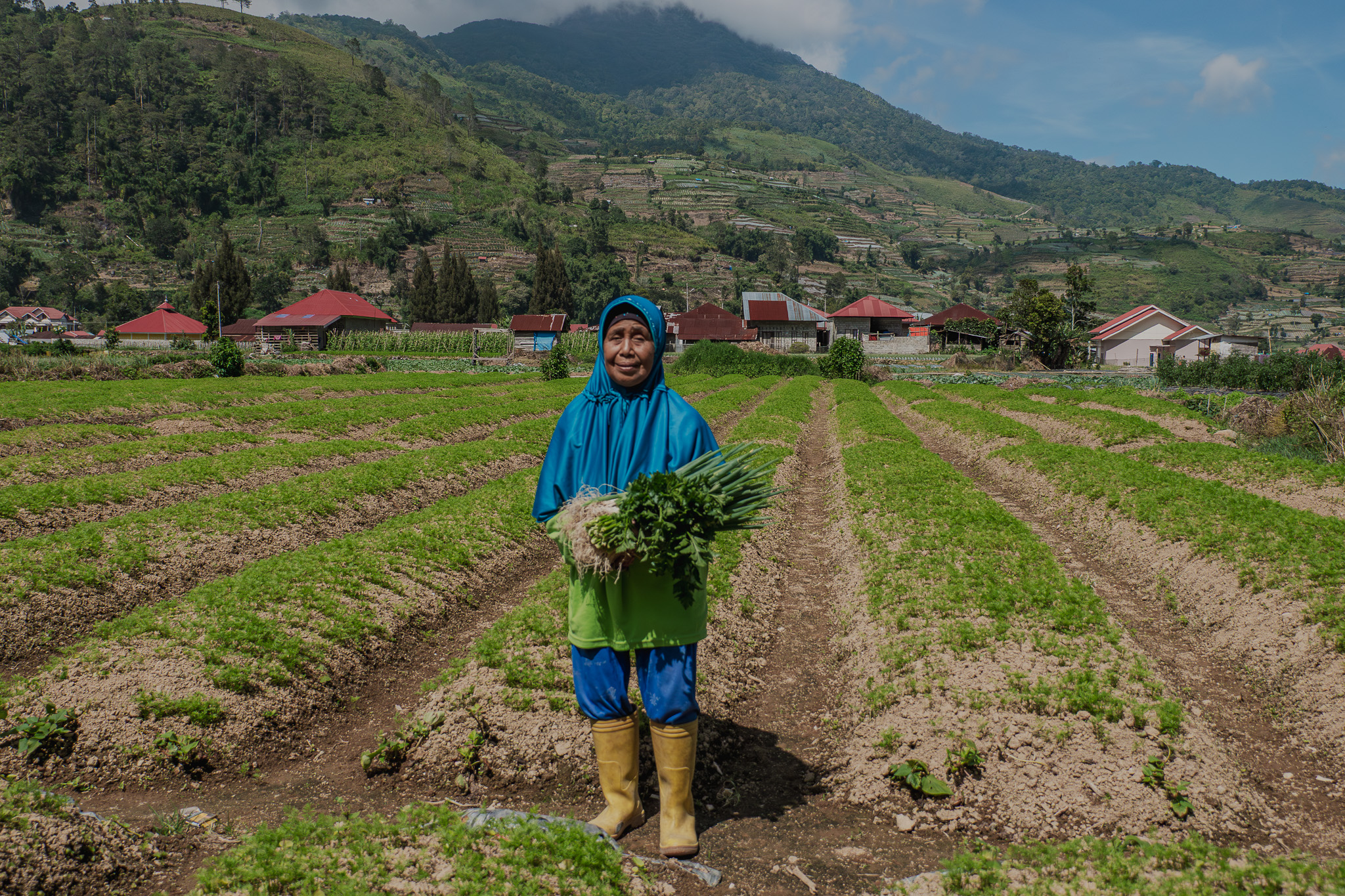 Pemerintah Sumbar Akui Minim Sosialisasi Proyek Panas Bumi Gunung Talang