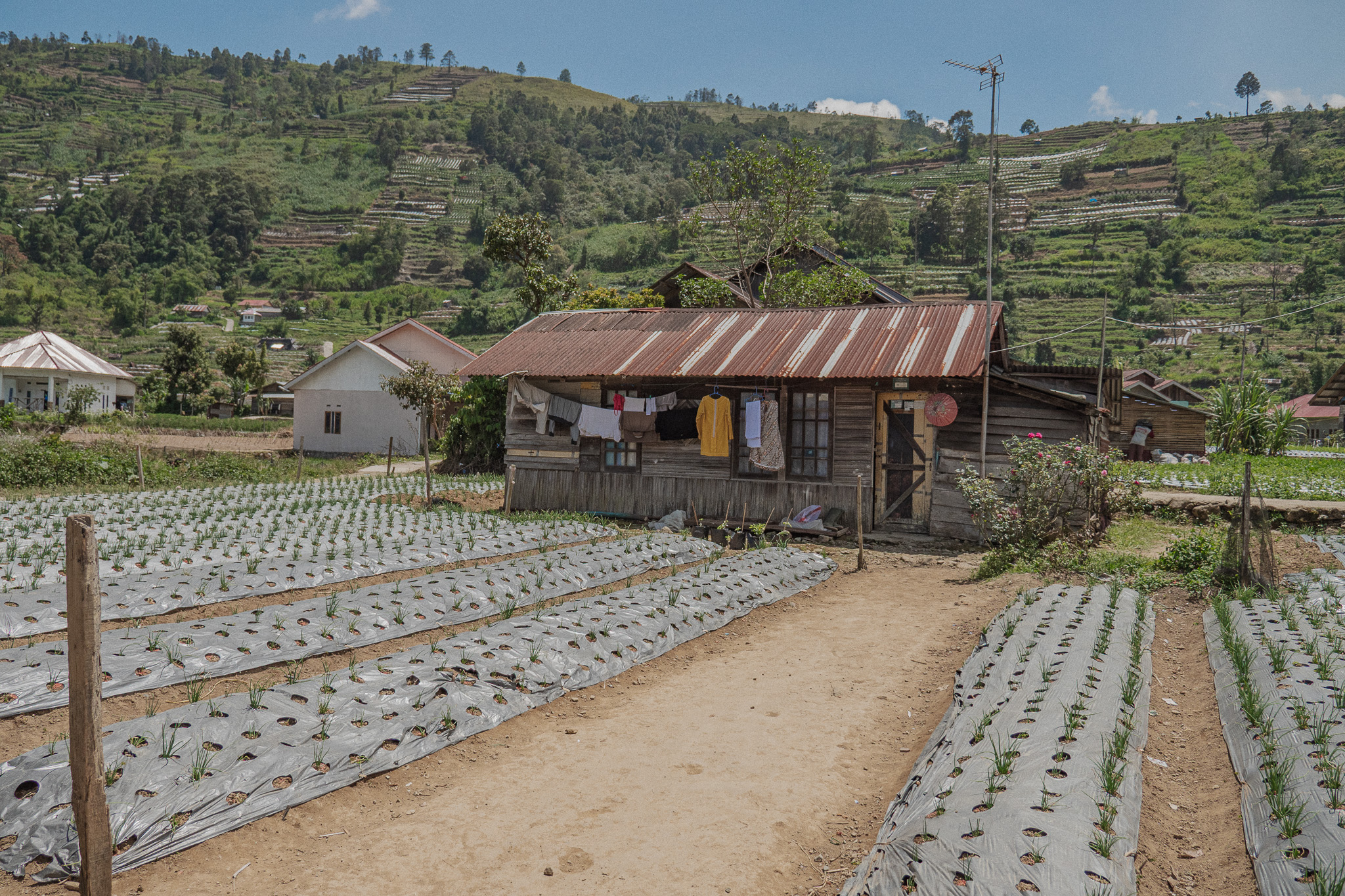 Pemerintah Sumbar Akui Minim Sosialisasi Proyek Panas Bumi Gunung Talang