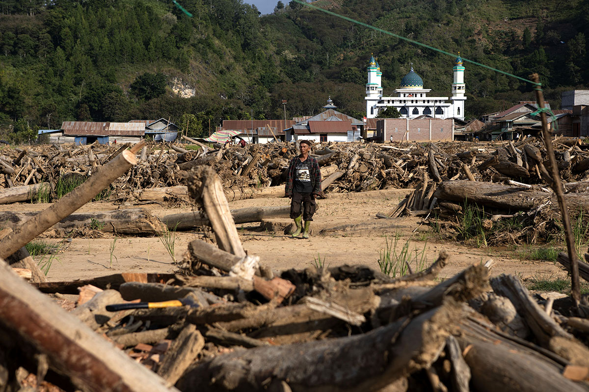 Tutupan Hutan Aceh Berkurang Puluhan Ribu Hektar Sepanjang 2025