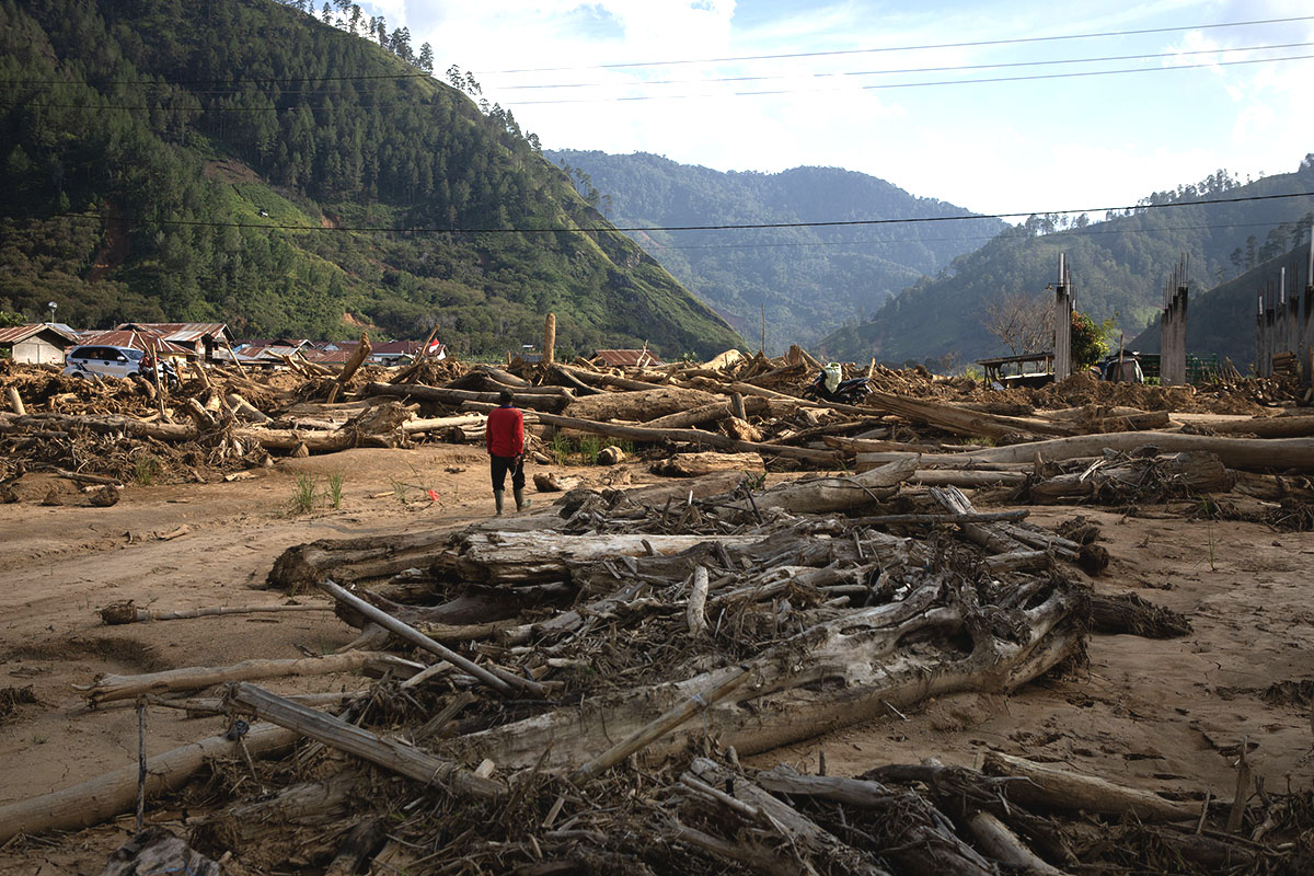 Tutupan Hutan Aceh Berkurang Puluhan Ribu Hektar Sepanjang 2025