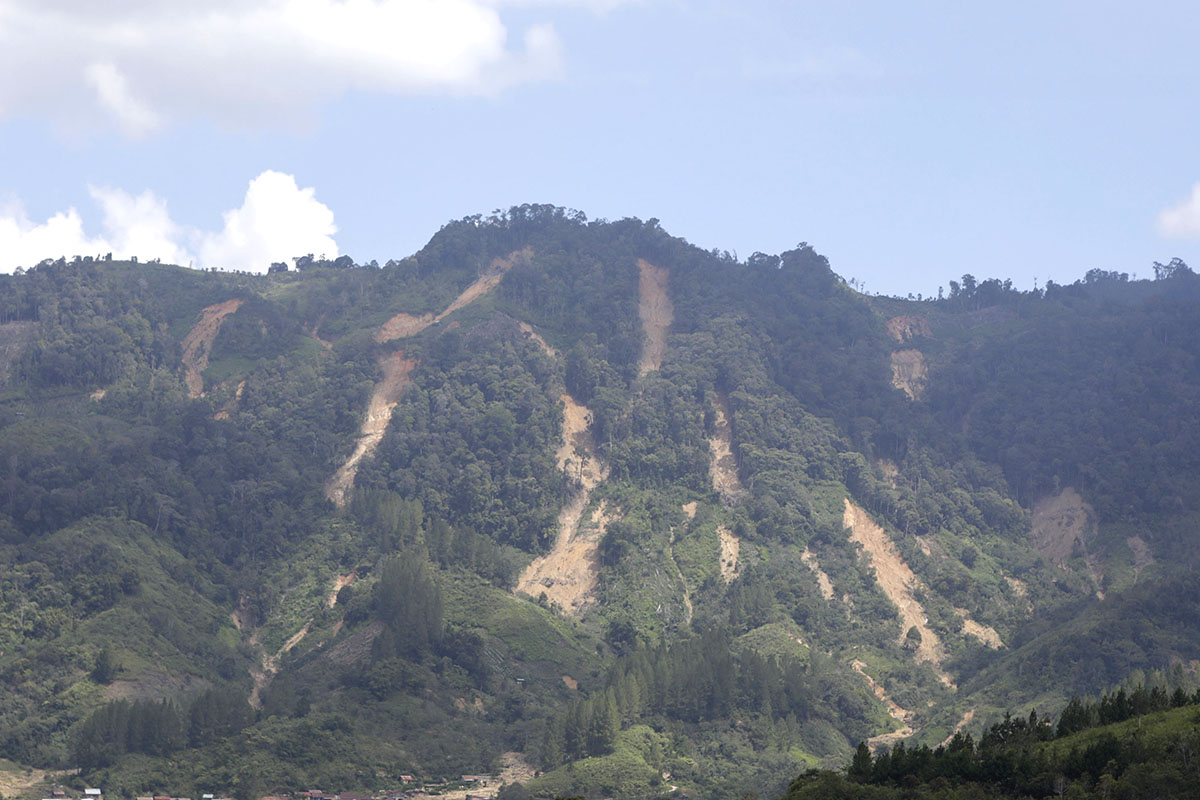 Tutupan Hutan Aceh Berkurang Puluhan Ribu Hektar Sepanjang 2025