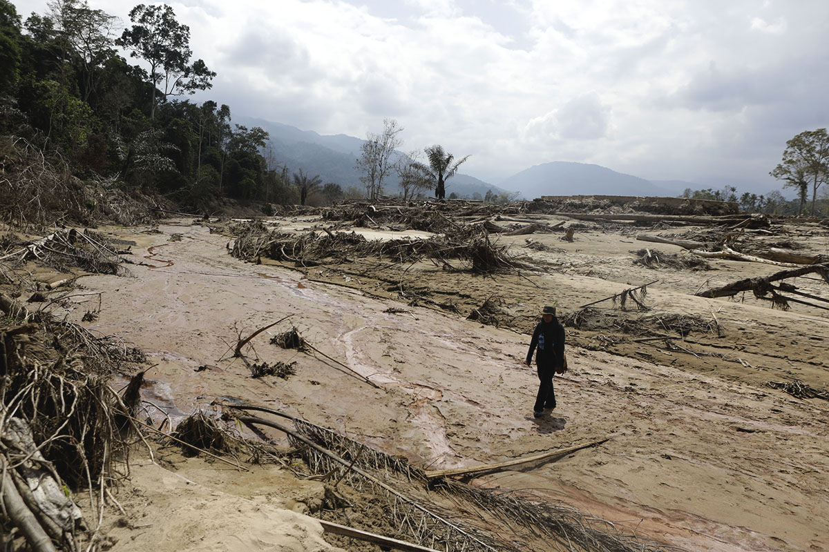 Tutupan Hutan Aceh Berkurang Puluhan Ribu Hektar Sepanjang 2025