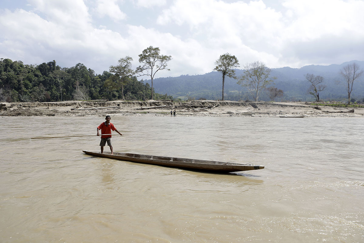 Tutupan Hutan Aceh Berkurang Puluhan Ribu Hektar Sepanjang 2025