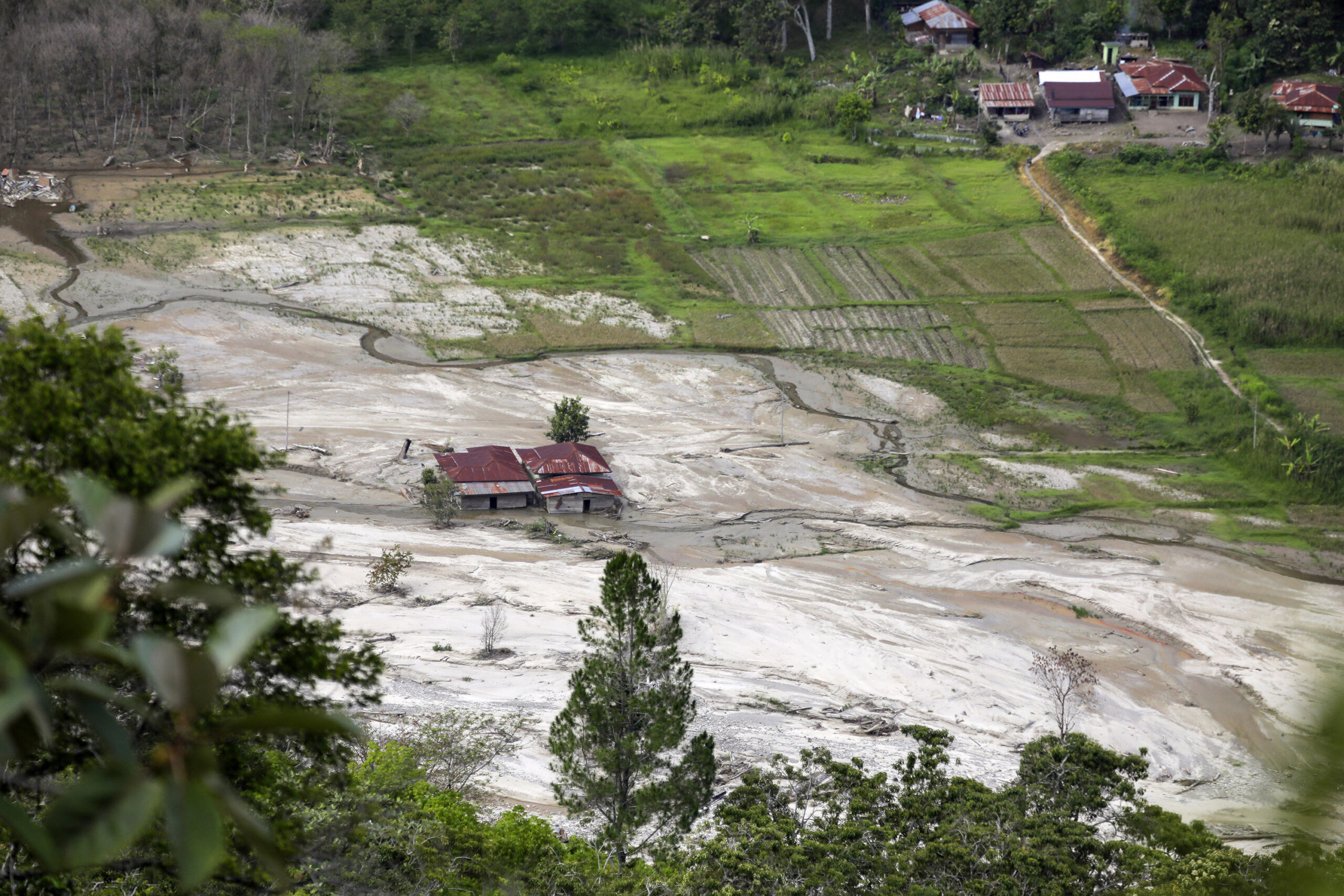 Agusen3