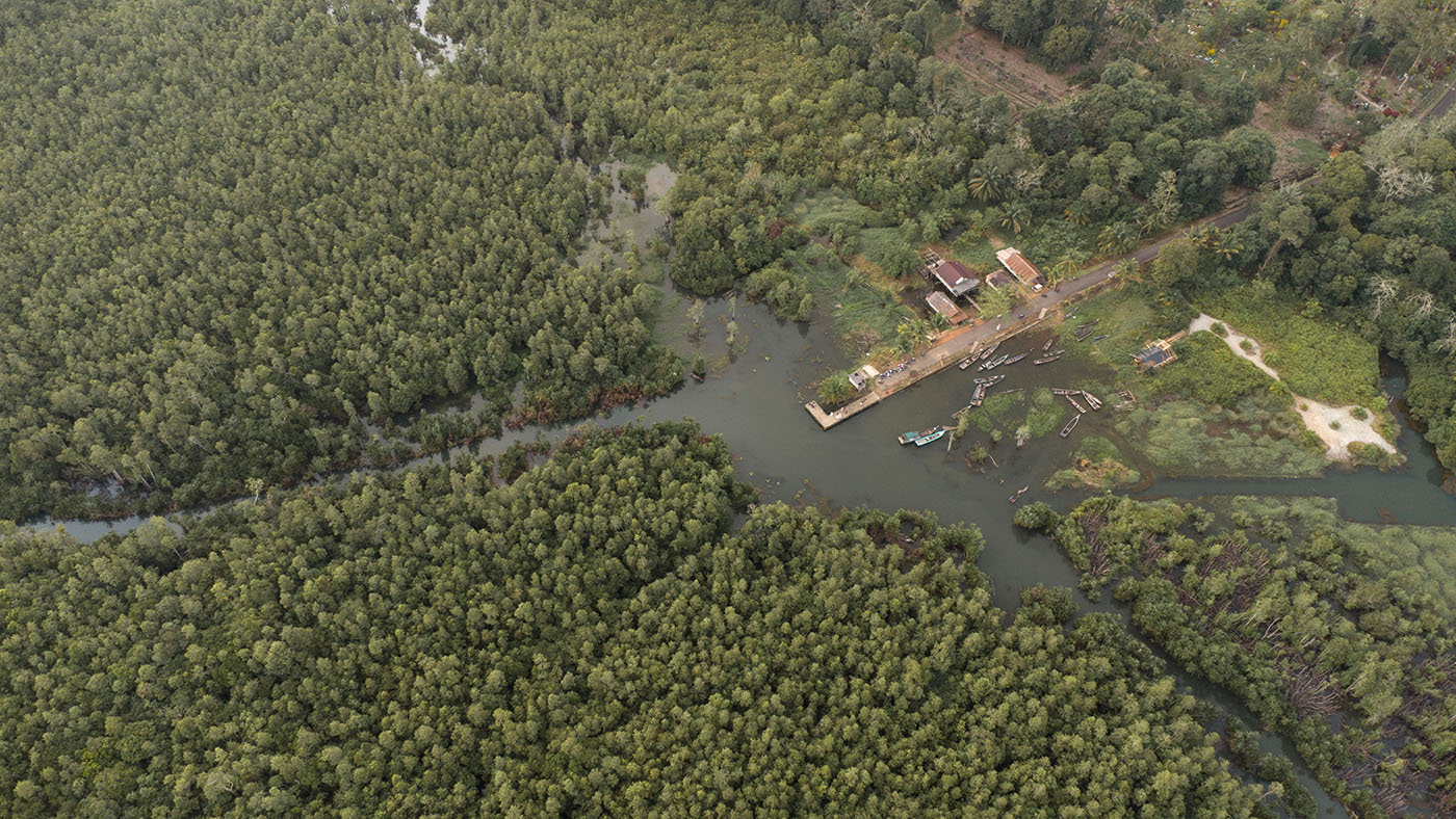 Dulu Harmonis, Kini Masyarakat Bangka Belitung Berkonflik dengan Buaya Muara