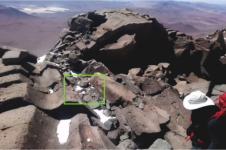 Tanpa Tumbuhan, Bagaimana Mamalia ini Bertahan di ketinggian 6.700 mdpl di Habitat Tertinggi Dunia?