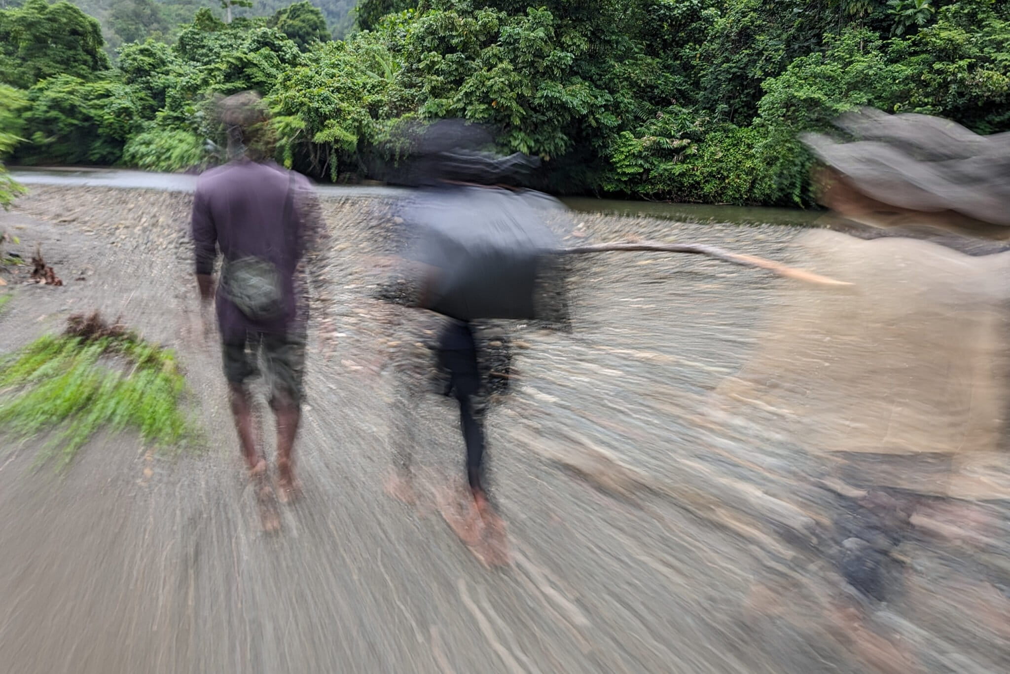 Pekerja Konservasi: Profesi yang Dibangun di Atas Harapan, Tertekan oleh Kehilangan