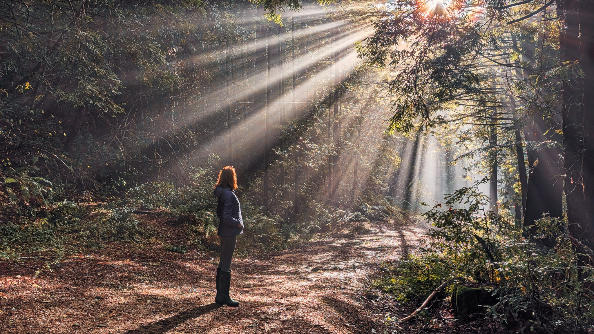 Pekerja Konservasi: Profesi yang Dibangun di Atas Harapan, Tertekan oleh Kehilangan