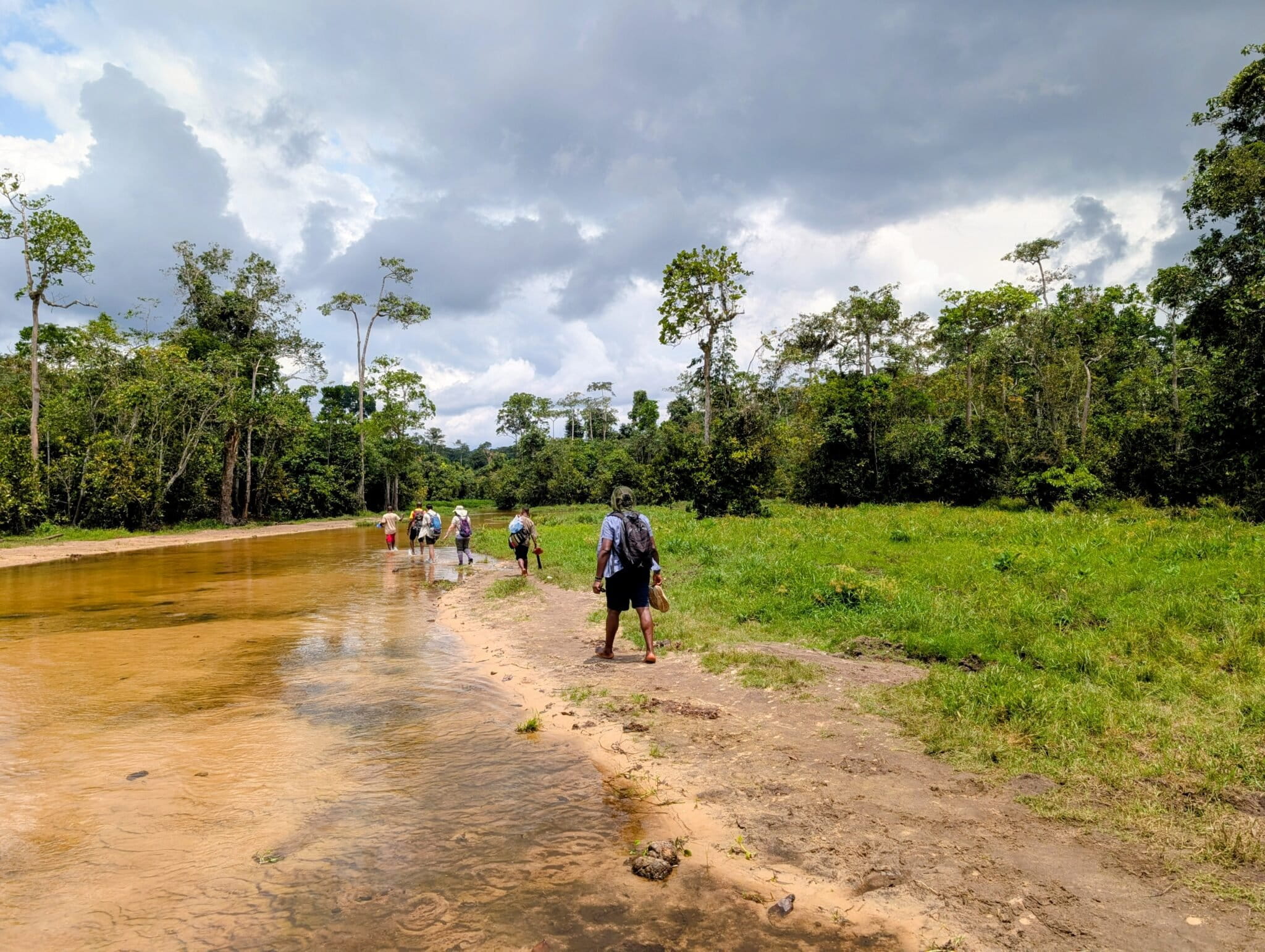 Pekerja Konservasi: Profesi yang Dibangun di Atas Harapan, Tertekan oleh Kehilangan