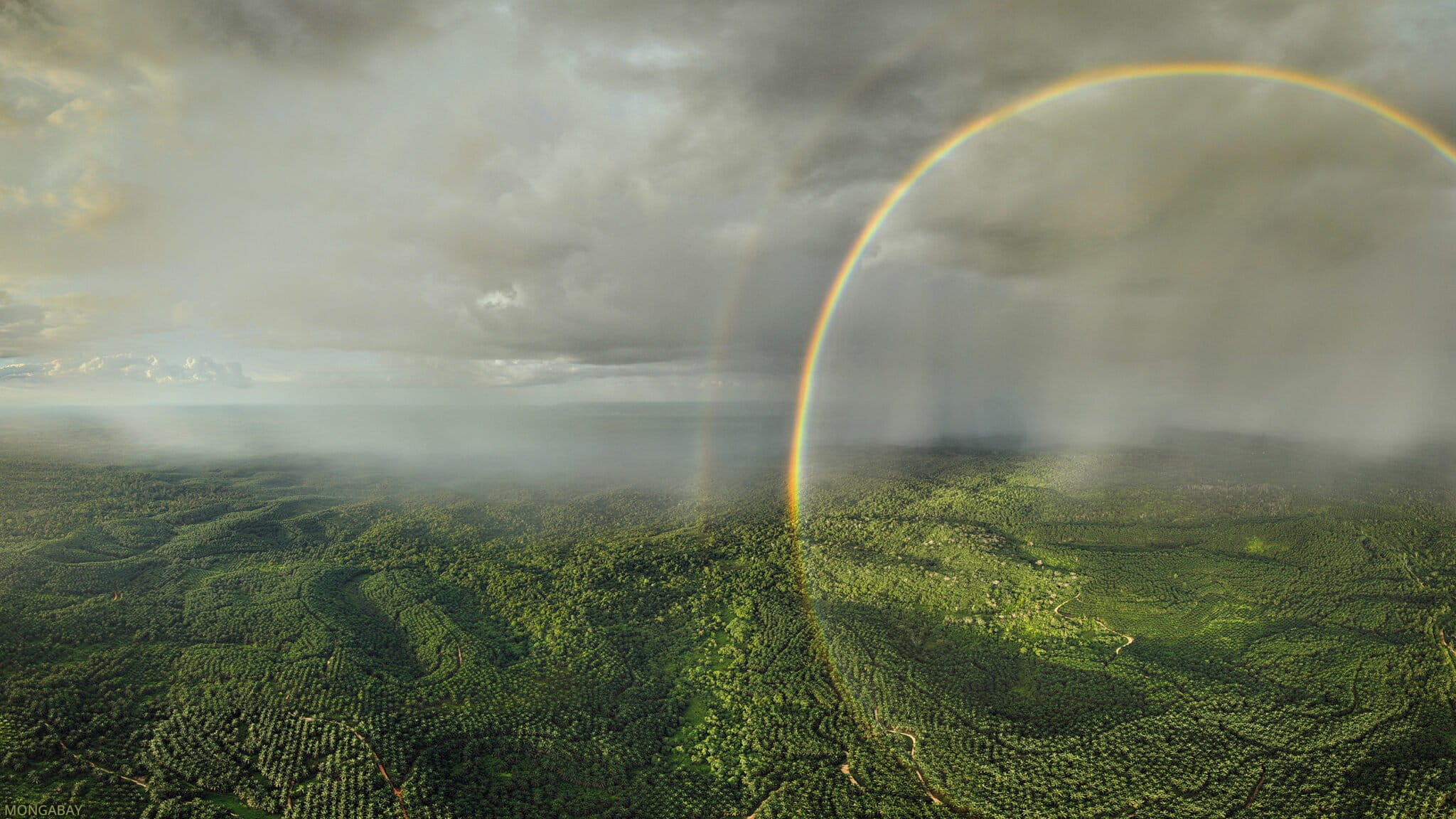 Pekerja Konservasi: Profesi yang Dibangun di Atas Harapan, Tertekan oleh Kehilangan