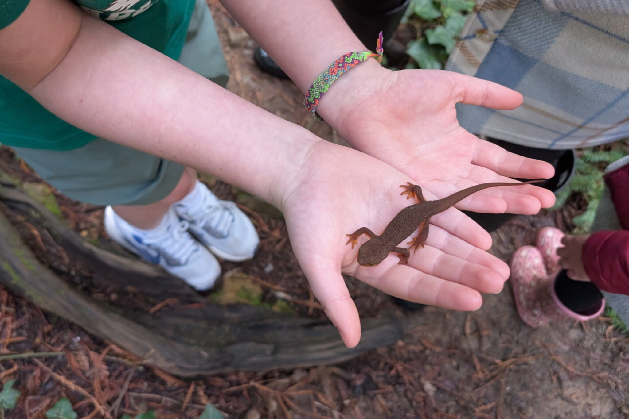 Pekerja Konservasi: Profesi yang Dibangun di Atas Harapan, Tertekan oleh Kehilangan