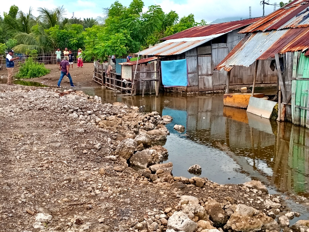 Kala Hutan Mangrove Maumere Kian Terbabat untuk Tambak