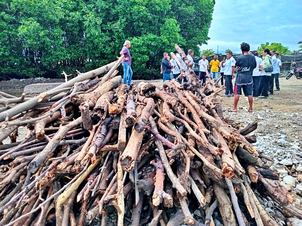 Kala Hutan Mangrove Maumere Kian Terbabat untuk Tambak