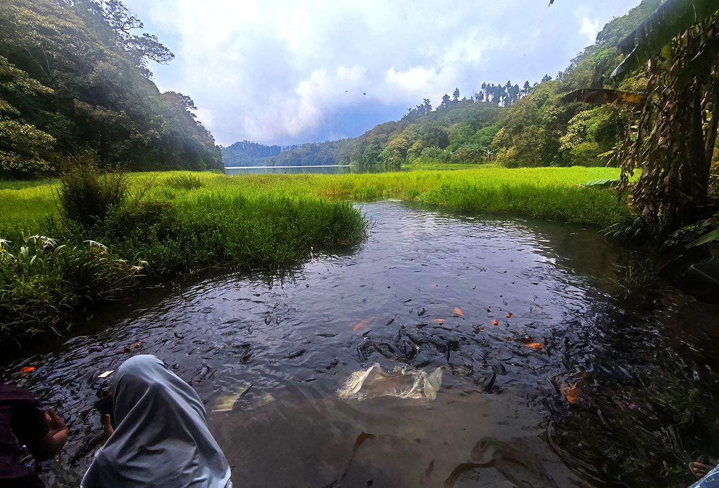 Mitos Ikan yang Menjaga Kelestarian Telaga Ranjeng