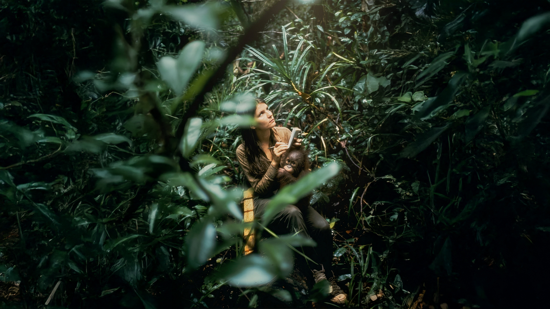 Selamat Jalan Birute Galdikas, Ibu Orangutan Kalimantan [1]