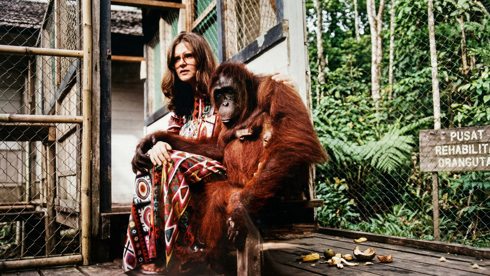 Totalitas Birute Galdikas untuk Orangutan Kalimantan [2]