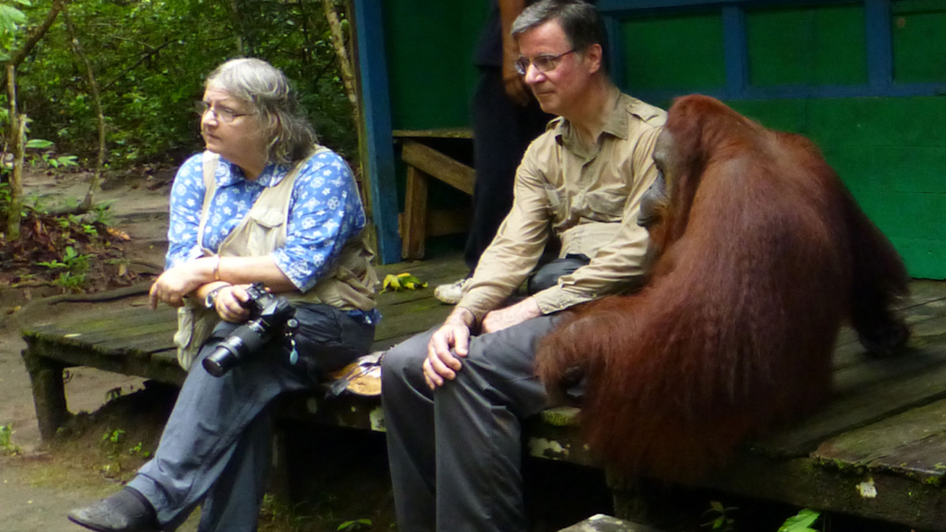 Totalitas Birute Galdikas untuk Orangutan Kalimantan [2]