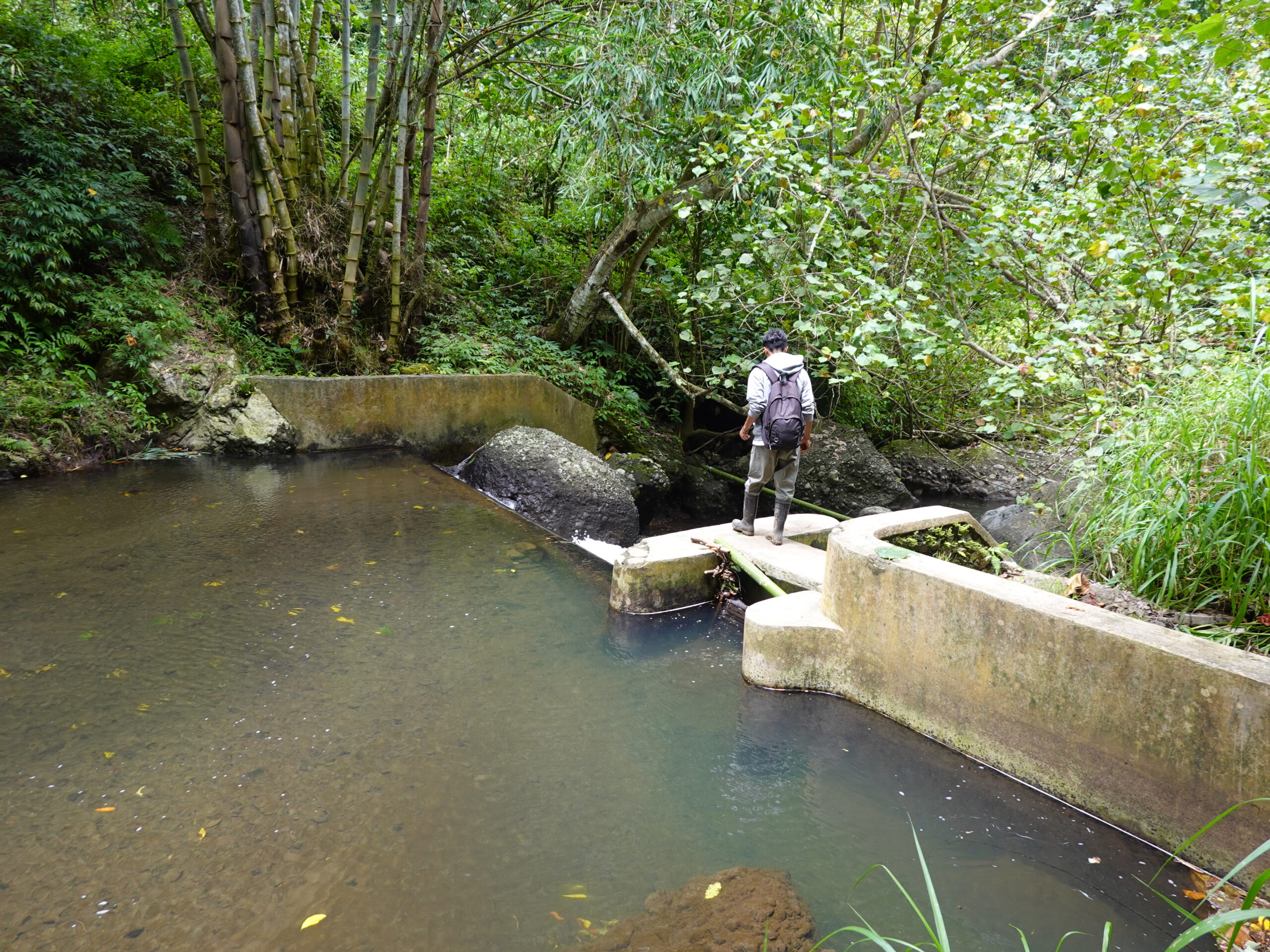Jalan Terjal Desa Tepal Wujudkan Kemandirian Energi