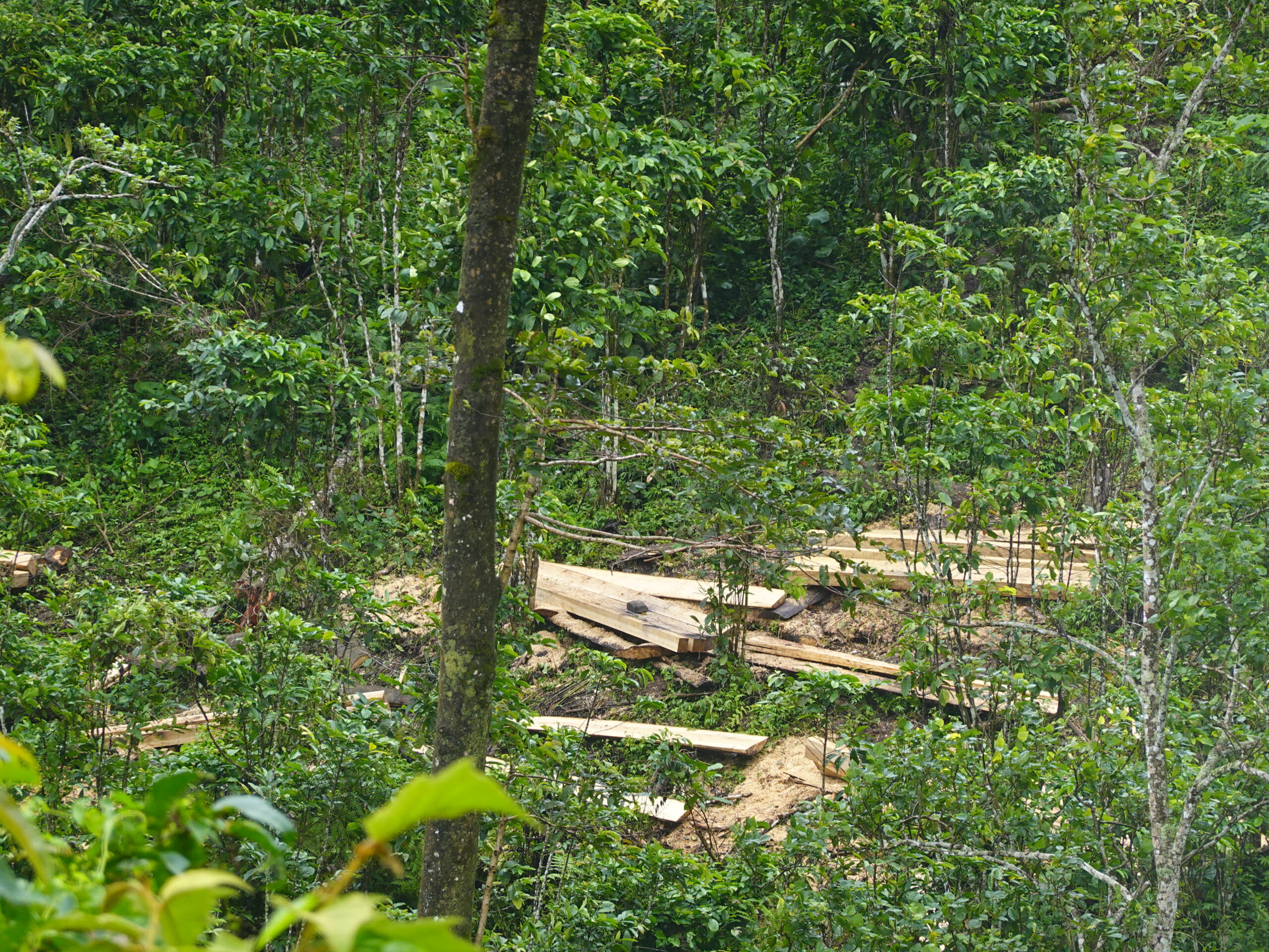 Jalan Terjal Desa Tepal Wujudkan Kemandirian Energi