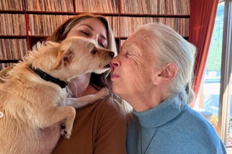 Hari ini adalah Hari Jane Goodall. Gerakannya Terus Berlanjut