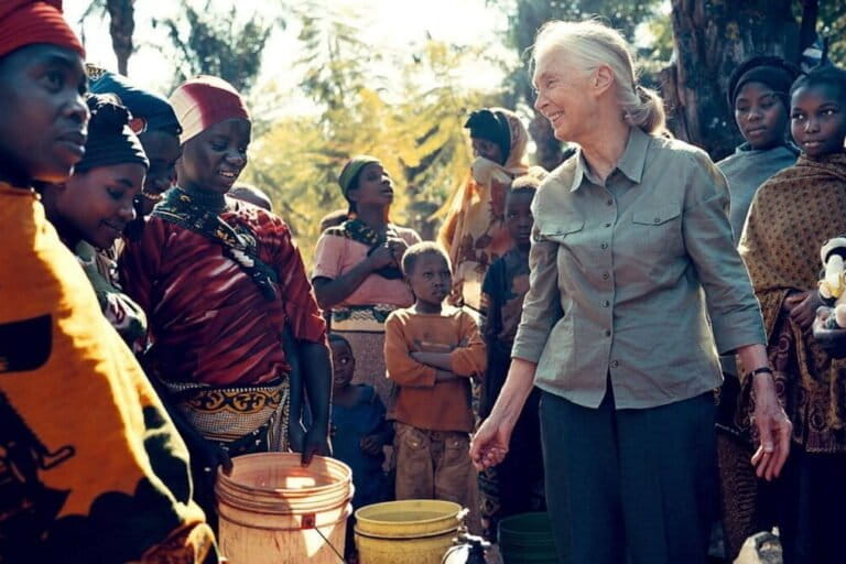 Hari ini adalah Hari Jane Goodall. Gerakannya Terus Berlanjut